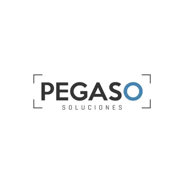 PEGASO SOLUCIONES